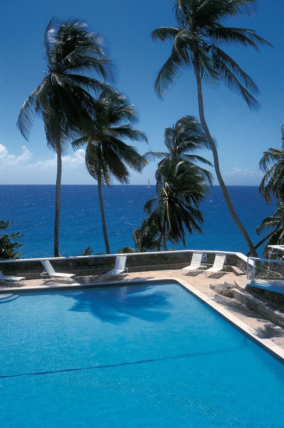 Day, Swimming pool