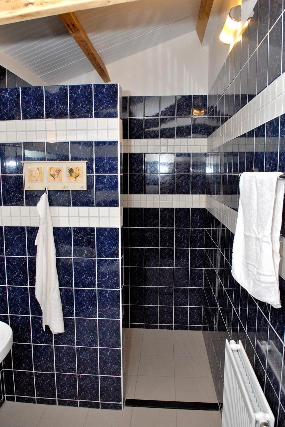 Shower, Bathroom, Area and facilities