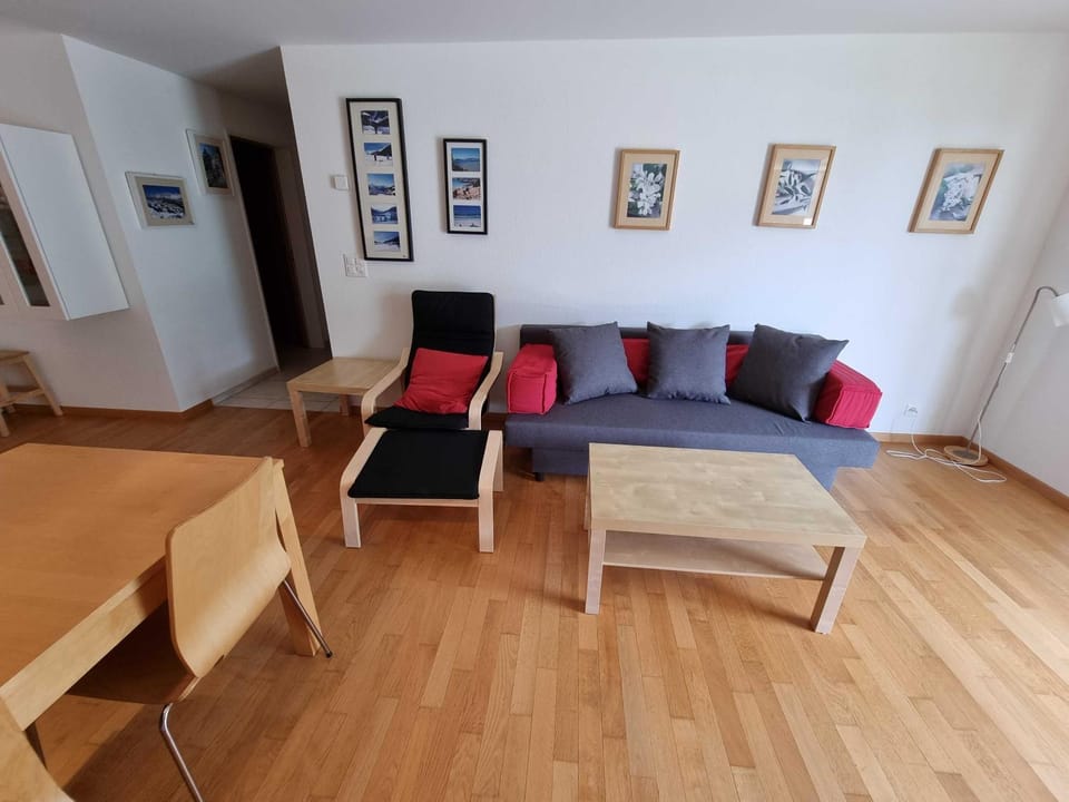 Modern and bright apartment opposite ski-lift Apartment in Canton of Valais