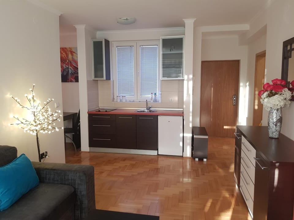 Rajiceva 5- apartman sa prostranom terasom i garaznim mestom Apartment in Serbia