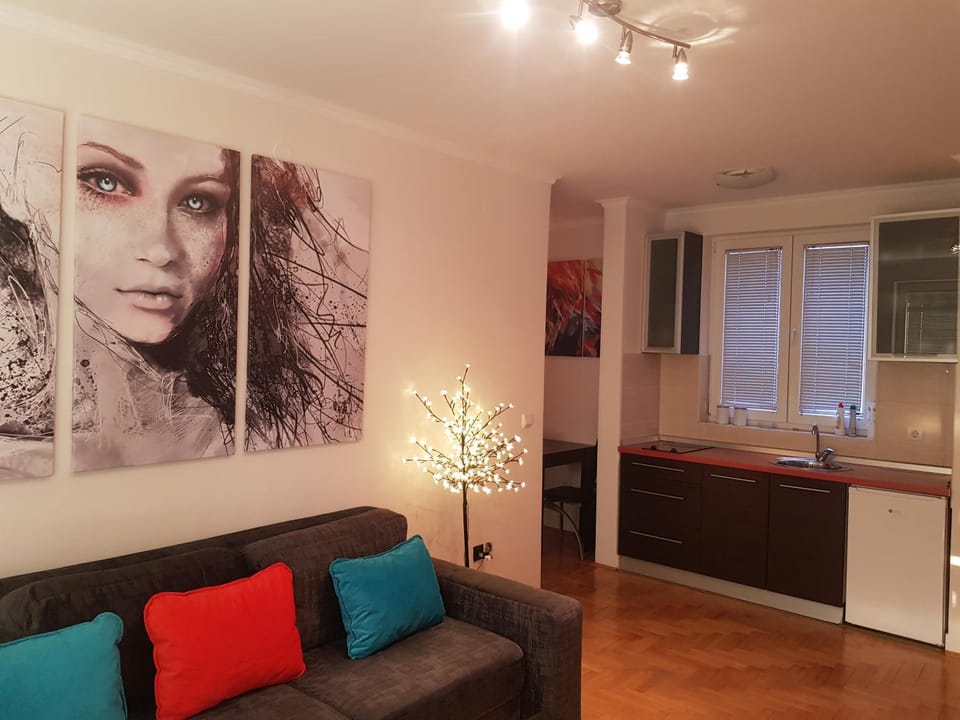 Rajiceva 5- apartman sa prostranom terasom i garaznim mestom Apartment in Serbia