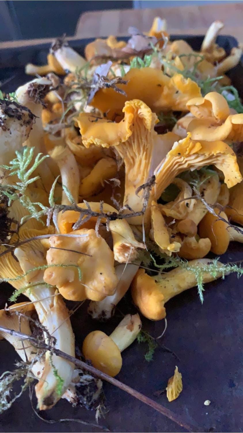 Staff, Food close-up, Food close-up, Food and drinks, Food, Food