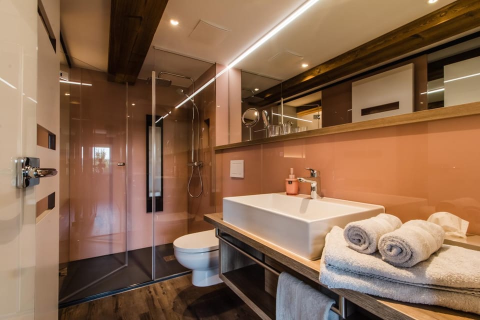 Shower, Toilet, Bathroom, hair dryier
