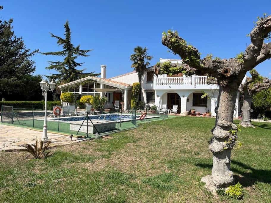 Garden, Garden view, Pool view, Swimming pool