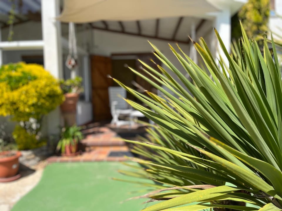 Property building, Day, Garden, Garden view
