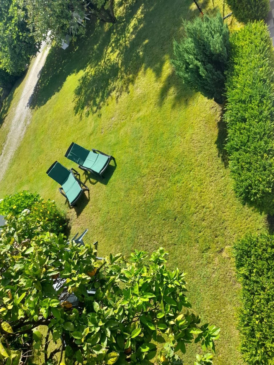 Garden, Garden view