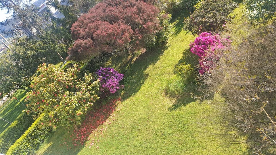 Garden, Garden view