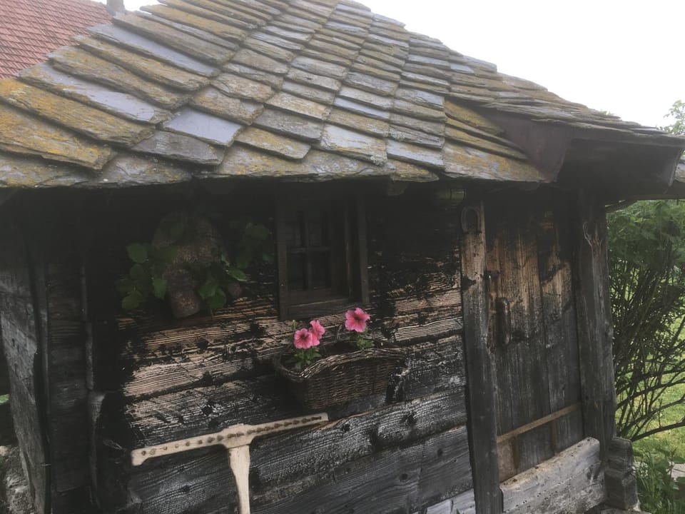 Ambar Campground/ 
RV Resort in Zlatibor District, Serbia