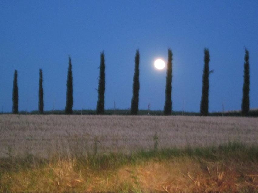 Natural landscape