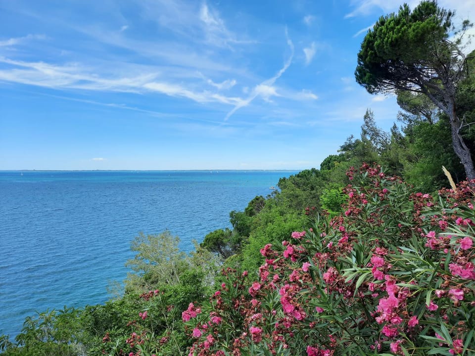 Natural landscape