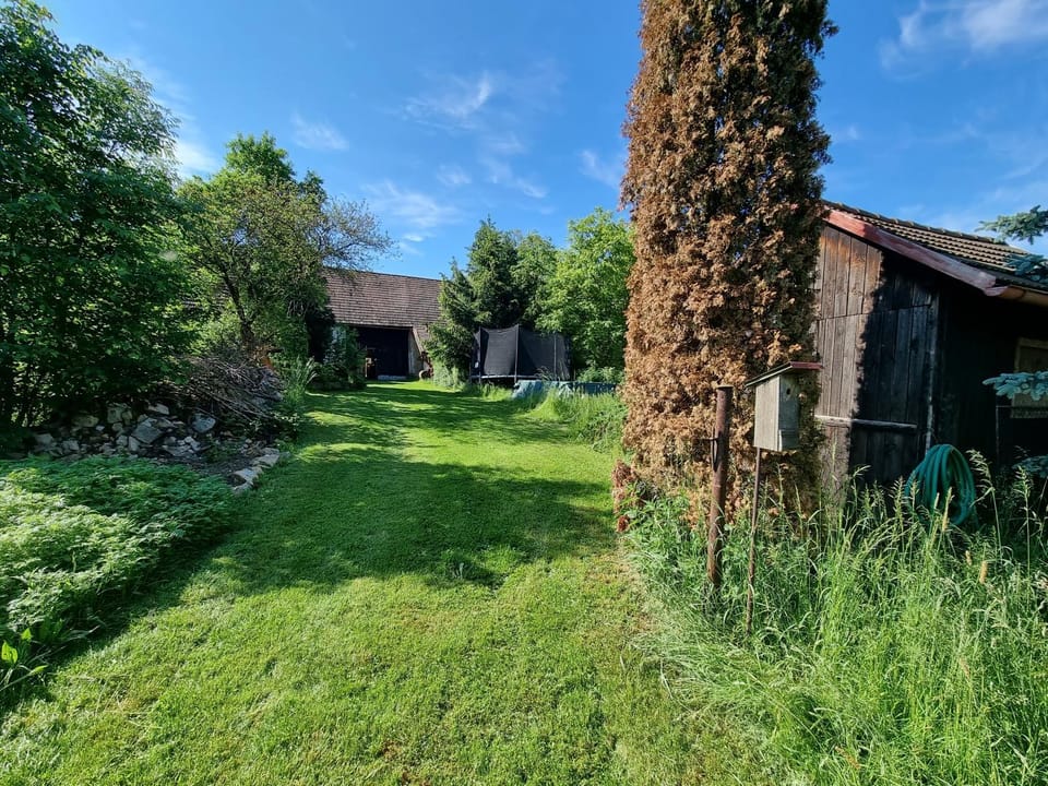 Garden, Garden