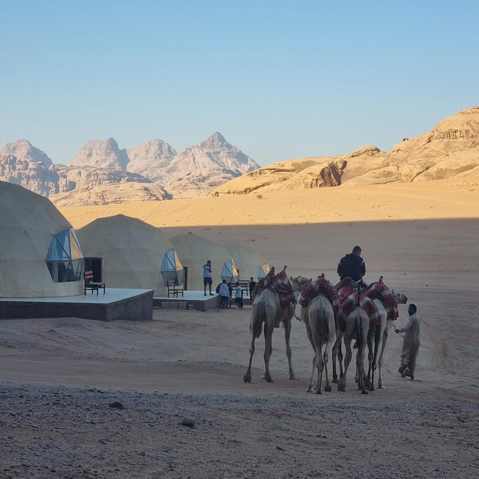 Nearby landmark, People, Natural landscape, Animals, group of guests