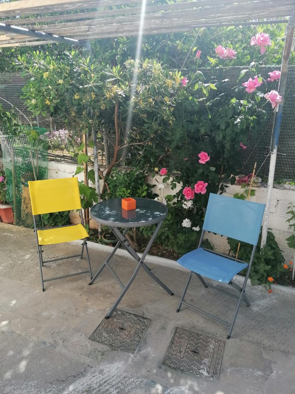 Garden, Balcony/Terrace