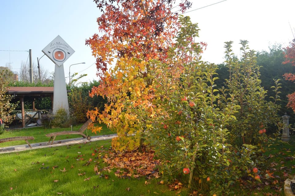 Day, Property logo or sign, Autumn, Garden view