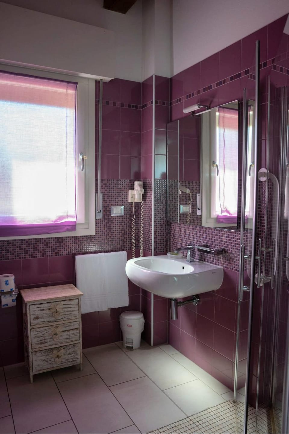 Shower, Toilet, Bathroom, Facility for disabled guests, bidet, hair dryier, towels