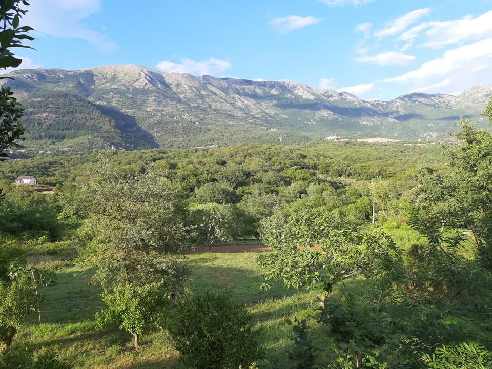 Balcony/Terrace, Garden view, Mountain view