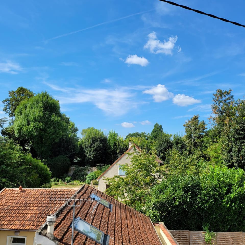 Day, Natural landscape, Garden view, Inner courtyard view