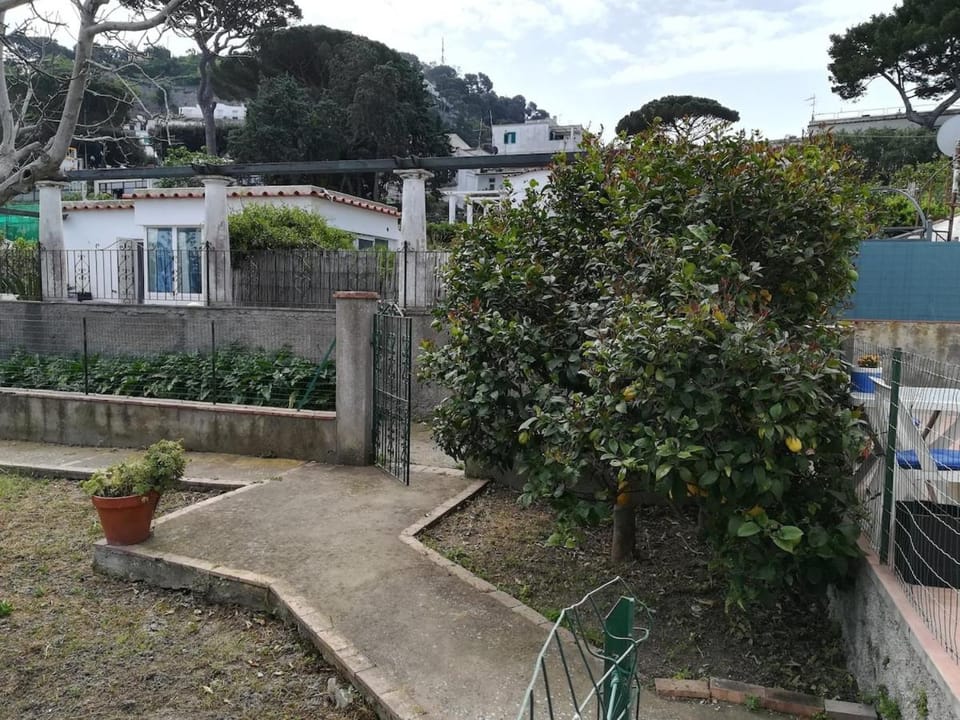 Lilli's House in Capri House in Marina Grande