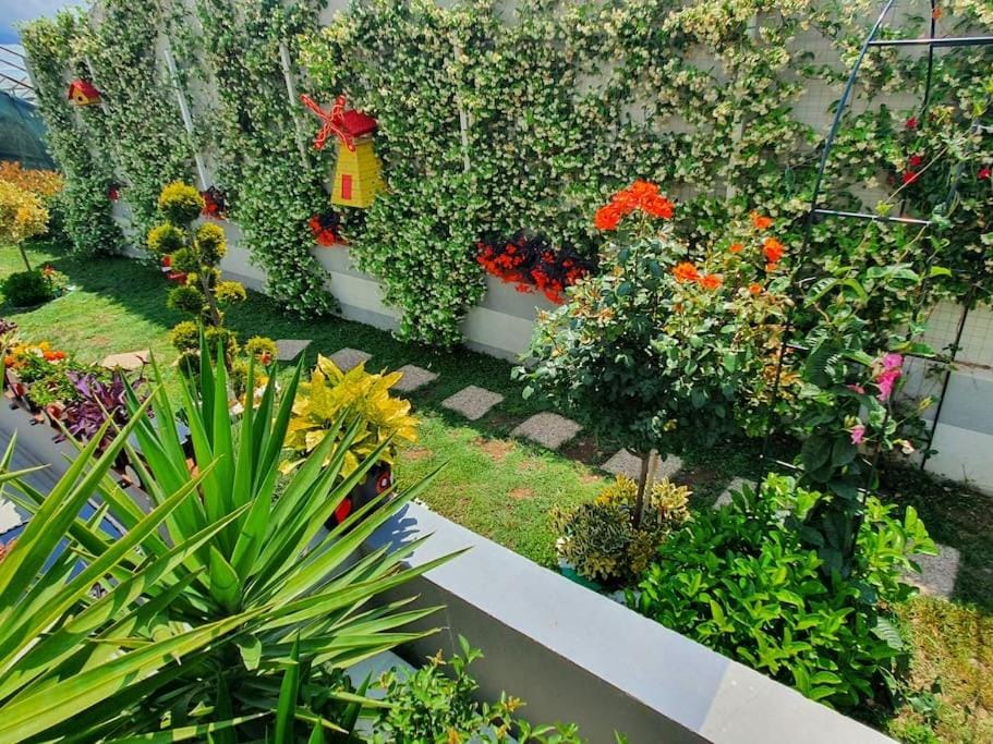 Garden, Balcony/Terrace, Garden view