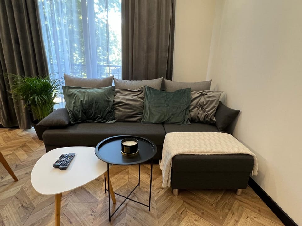 Communal lounge/ TV room, Balcony/Terrace, Living room, Seating area