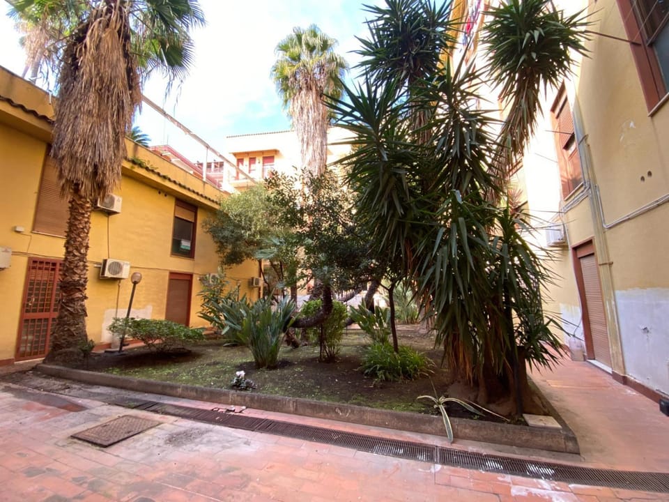 Property building, Spring, Day, Neighbourhood, Garden, Garden view, Street view