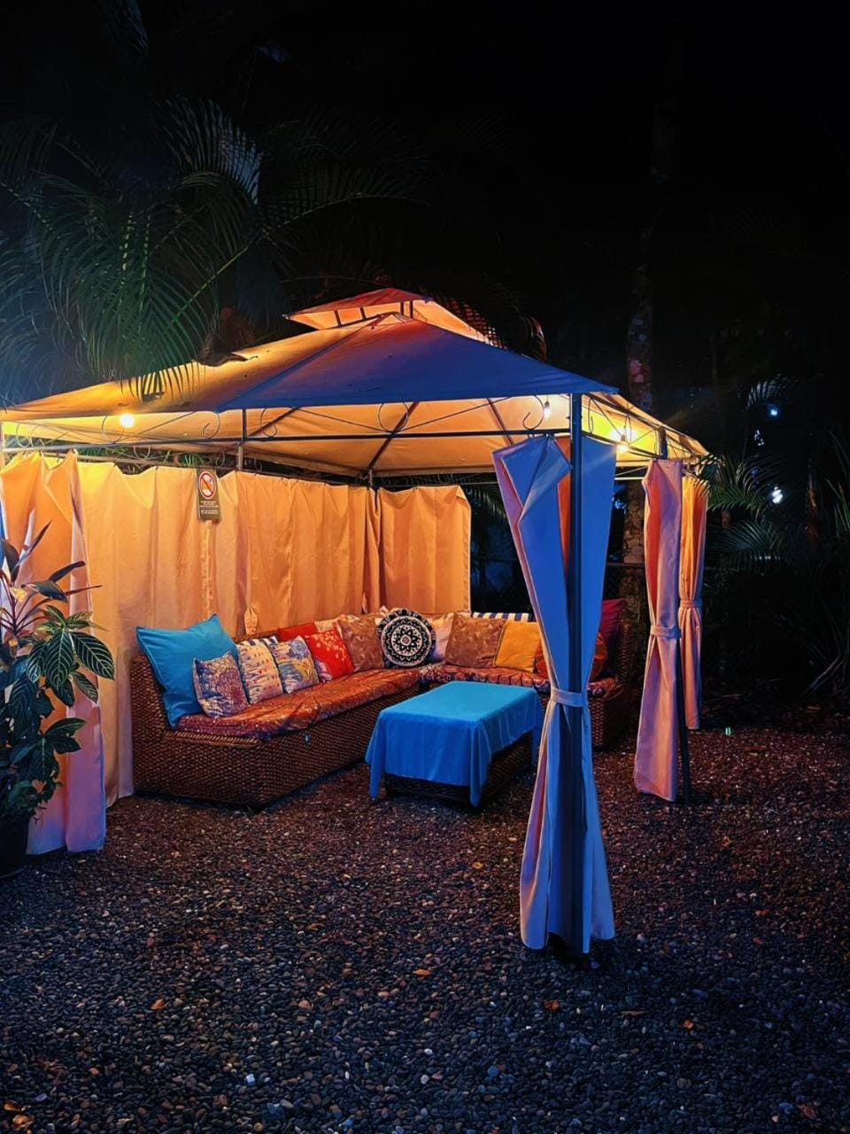 Night, Garden