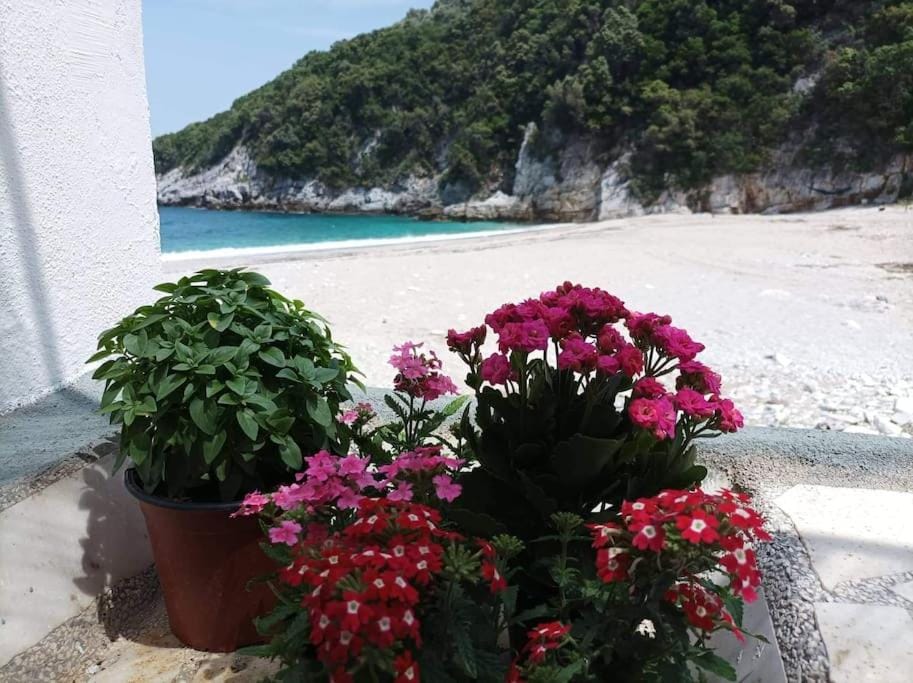 Κυμοθόη House in Magnesia Prefecture, Greece
