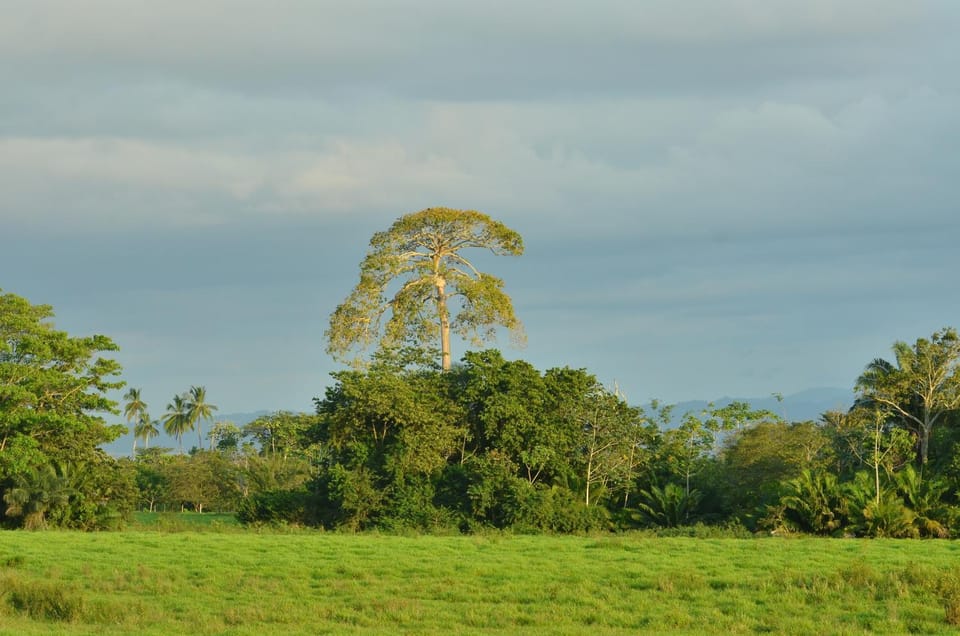 Natural landscape