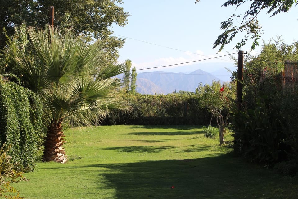 Natural landscape, Garden