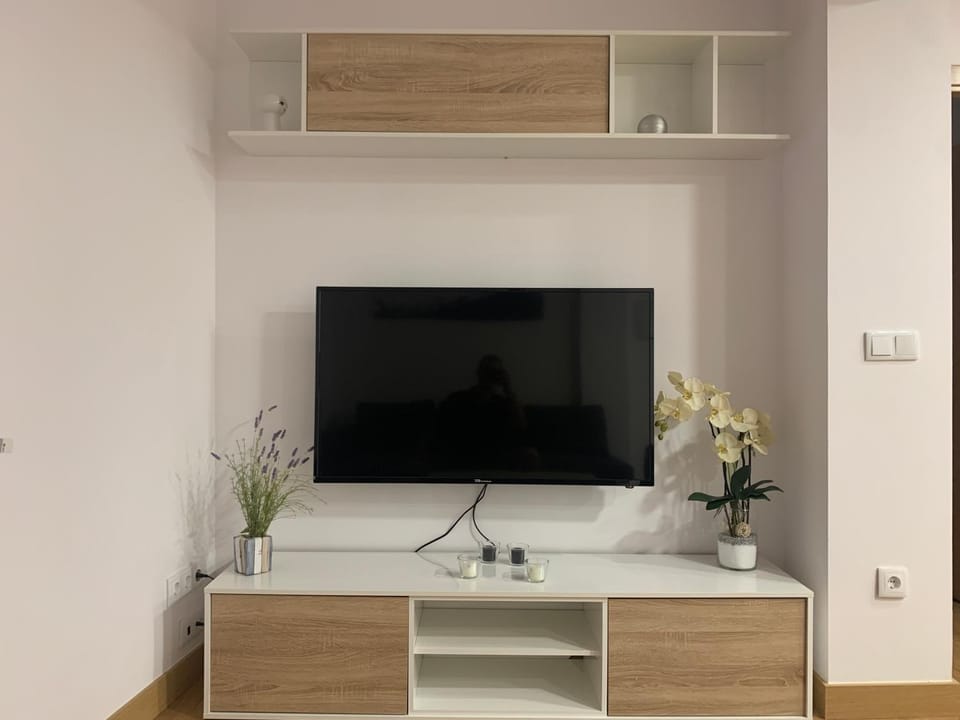 TV and multimedia