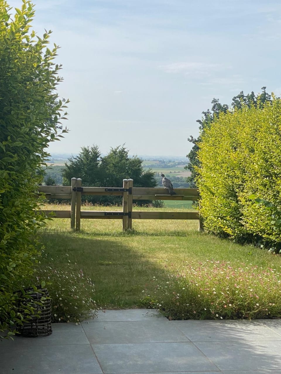 View (from property/room)