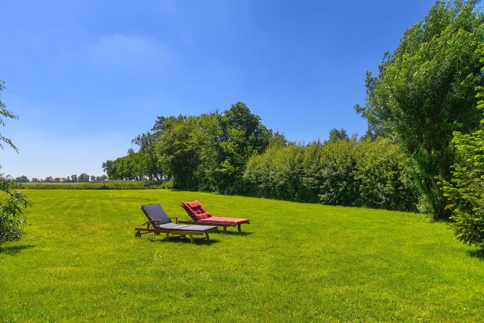 Garden, Garden view, sunbed