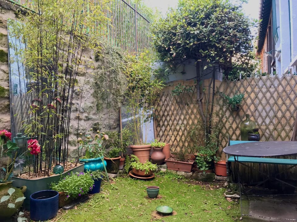Patio, Garden