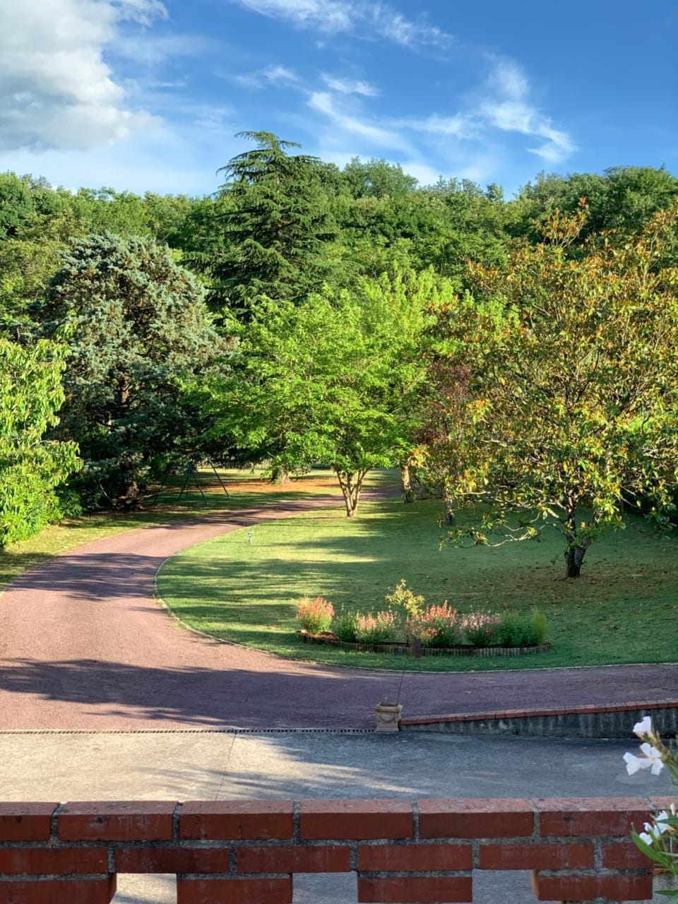 Natural landscape, Garden, Garden view