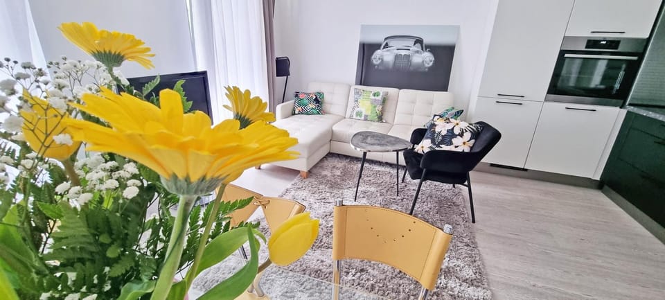 Kitchen or kitchenette, Living room, Seating area, Dining area, oven
