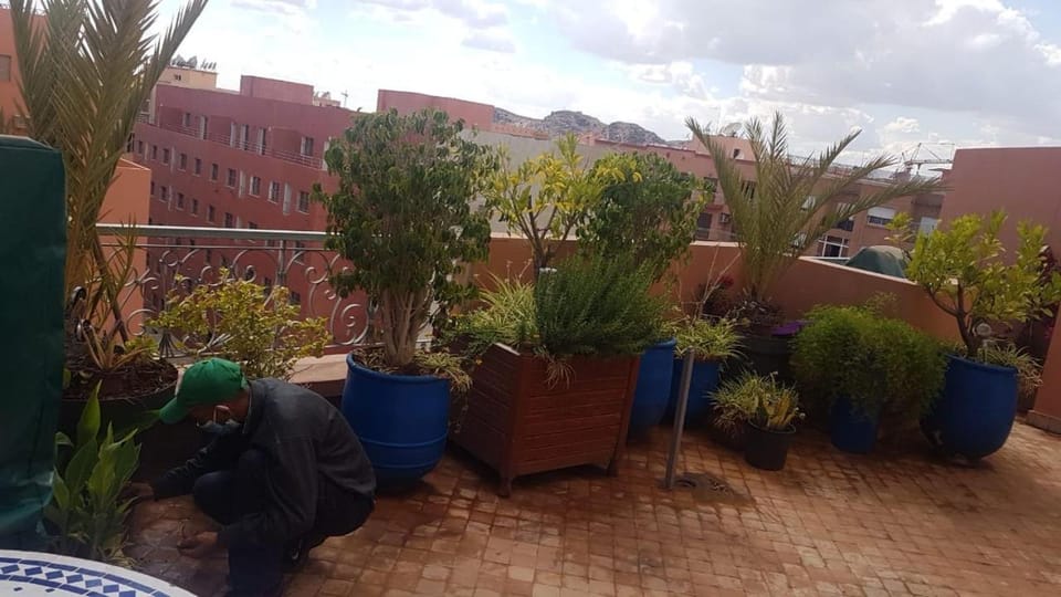 Yasmine Majorelle Apartment in Marrakesh