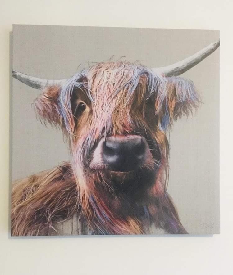 Modern Apartment with Stunning Sea View Apartment in Weston-super-Mare