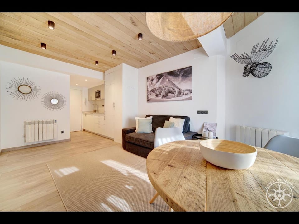 AUDETH de Alma de Nieve Apartment in Vielha
