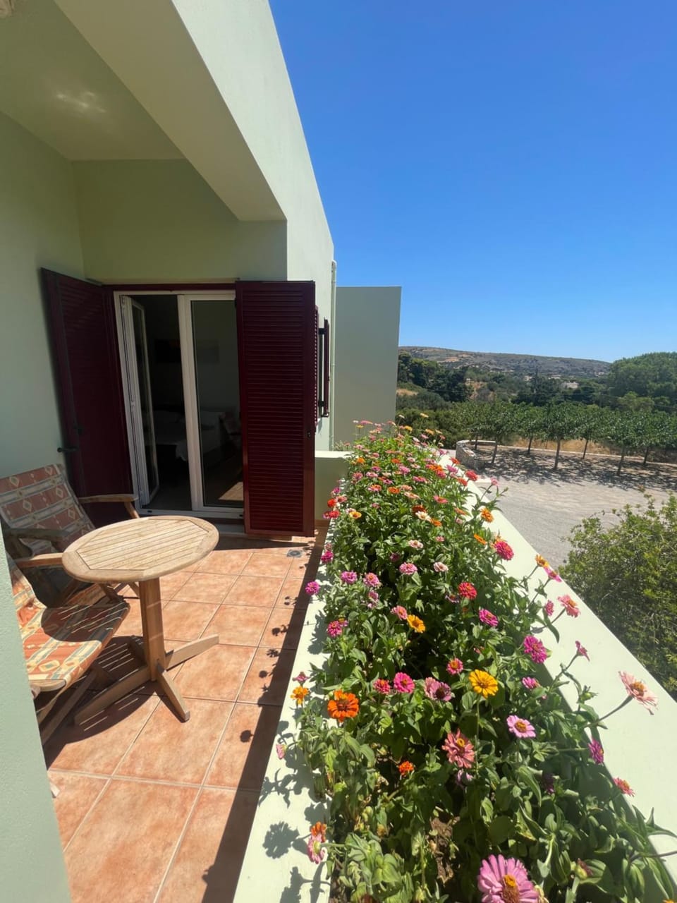 Garden view