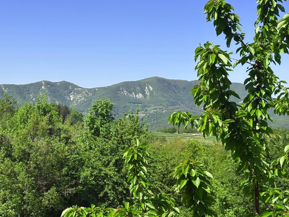 Mountain view