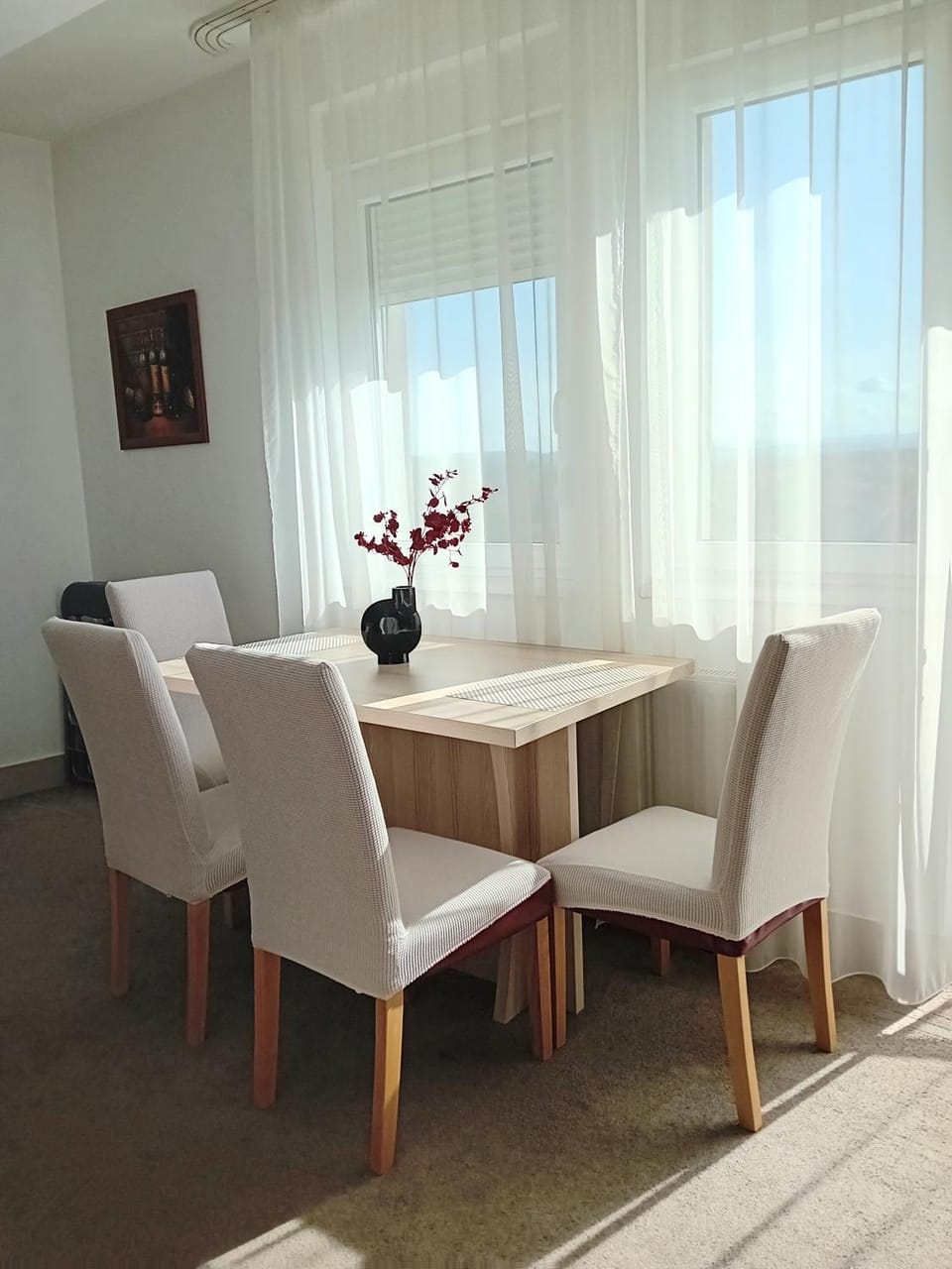 WING 3 apartman ,,BC ,, Apartment in Serbia