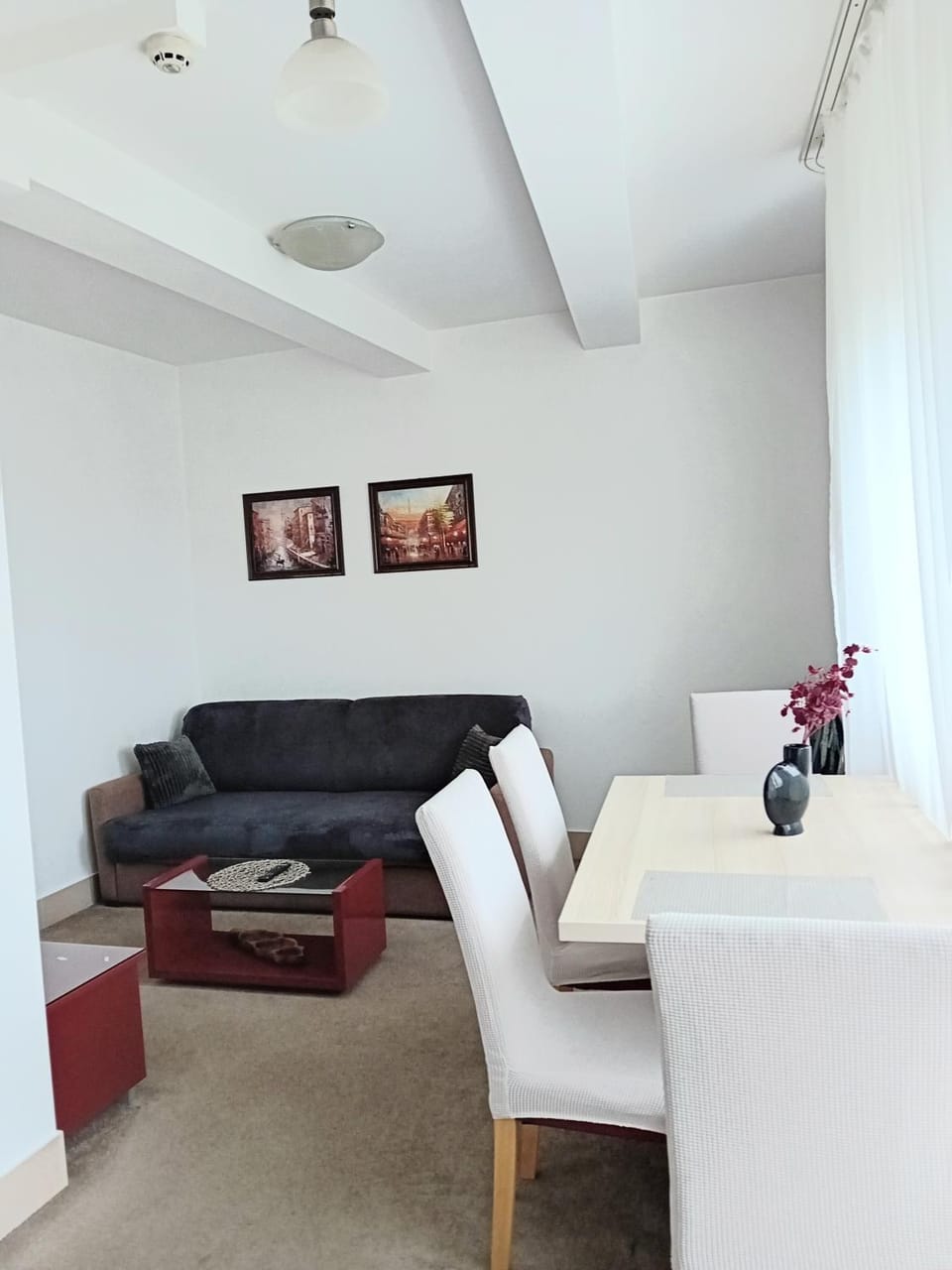 WING 3 apartman ,,BC ,, Apartment in Serbia