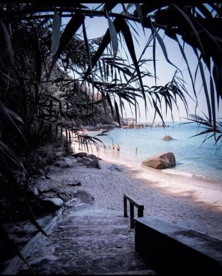 Natural landscape, Beach, Sea view