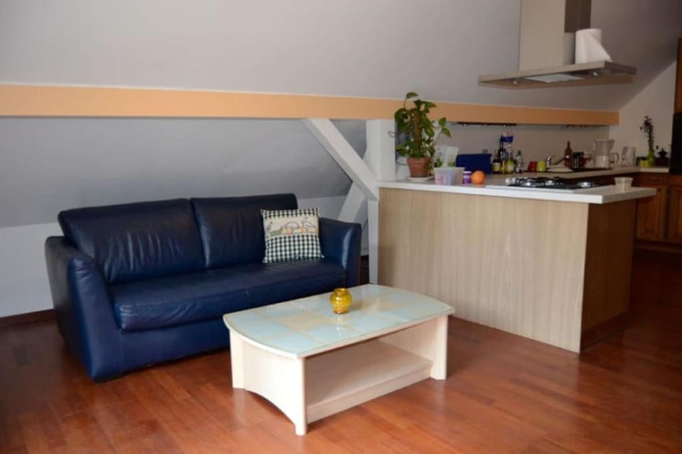 Gite GRETEL de la Ferme du Schneeberg Apartment in Grand Est