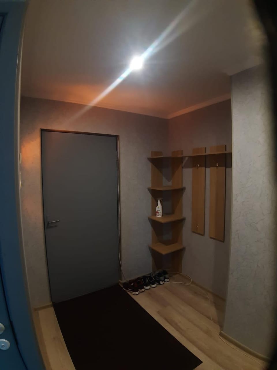 Elen Goliševa Apartment in Latvia