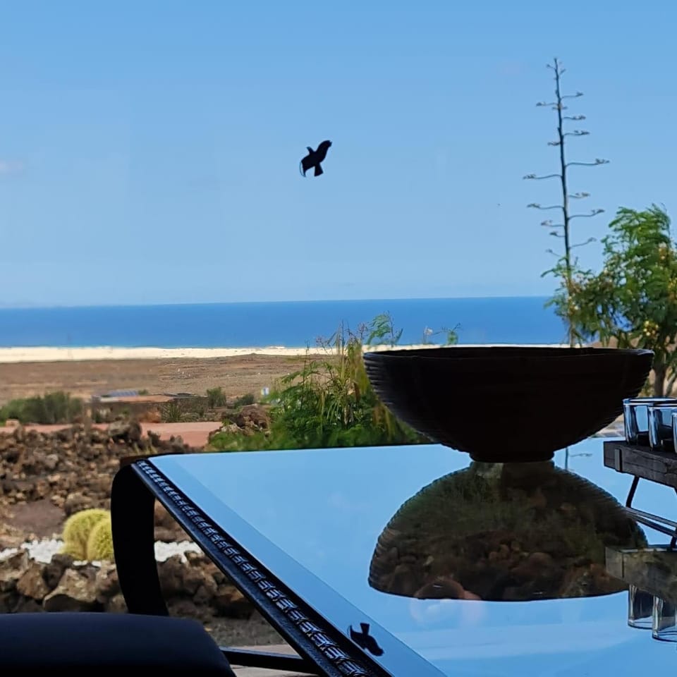 Sea view