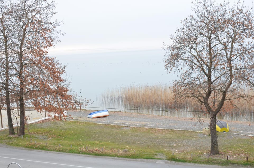 Lake view
