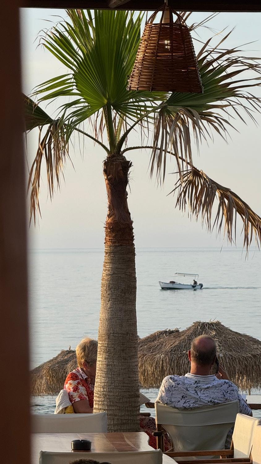 People, Natural landscape, Seating area, Beach, Guests
