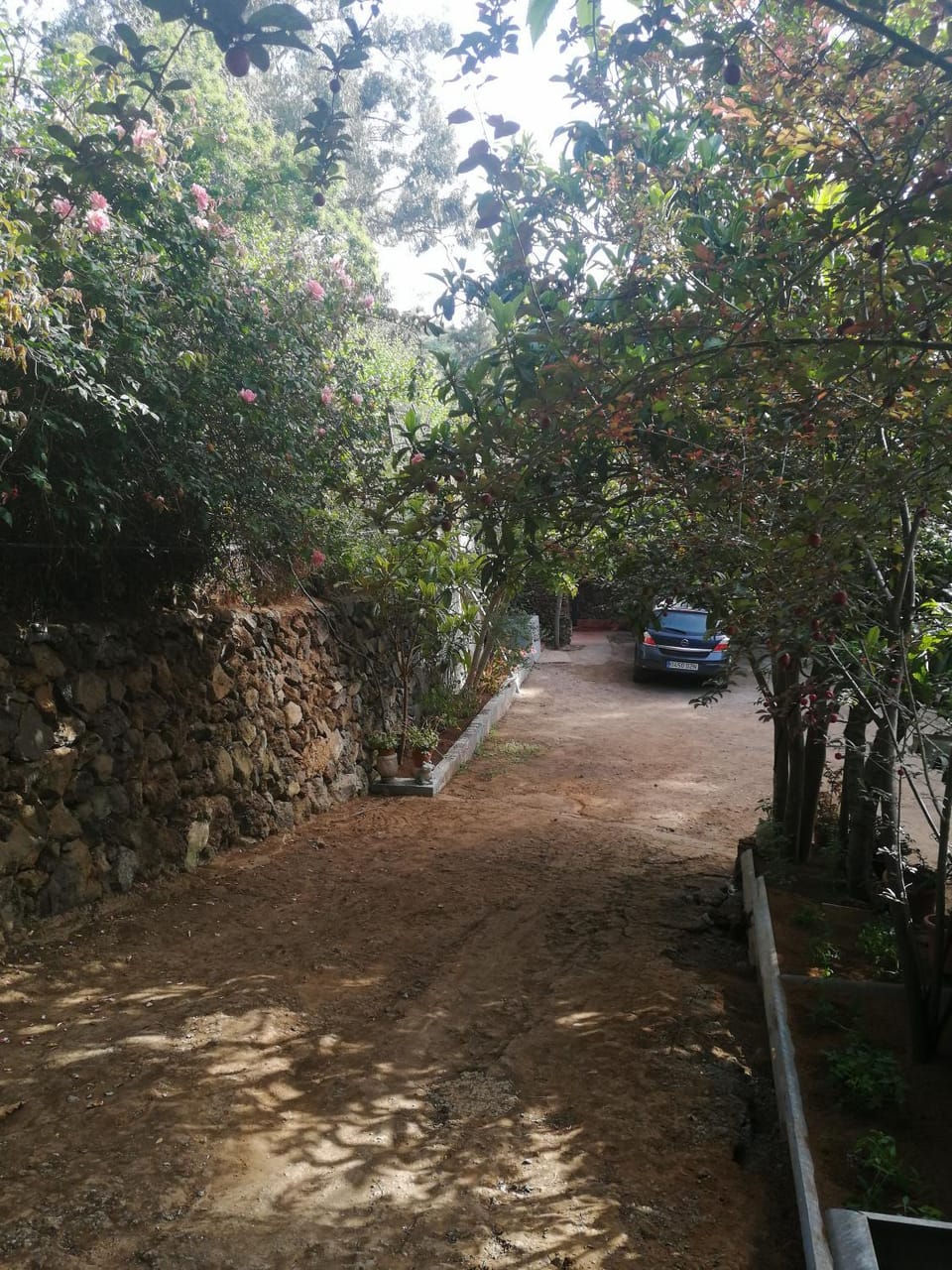 Spring, Day, Neighbourhood, Natural landscape, Garden, Garden, Garden view, Parking