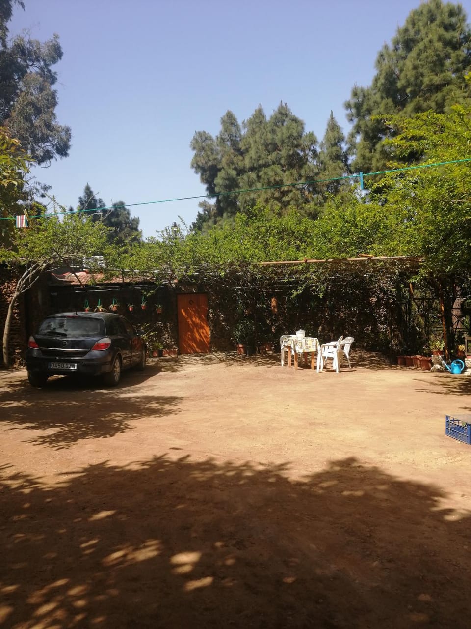 Spring, Day, Natural landscape, Garden, Garden, Garden view, Parking
